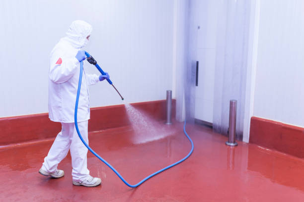 Best Animal Enclosure Cleaning  in West Hurley, NY